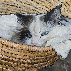 Ami's Cat