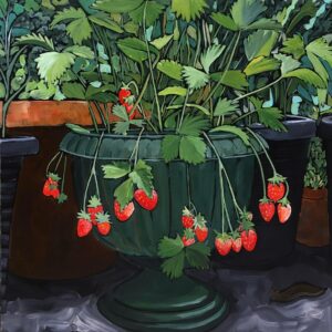 Growing Strawberries