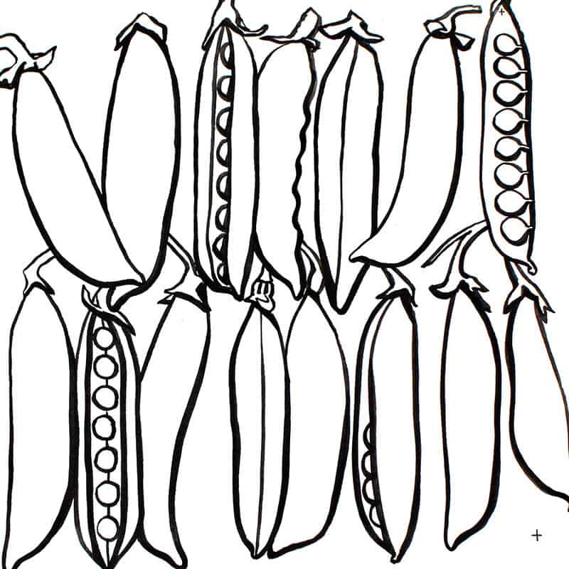 KimThings Drawing Process - Step 2 - Tracing